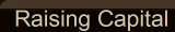 Raising Capital